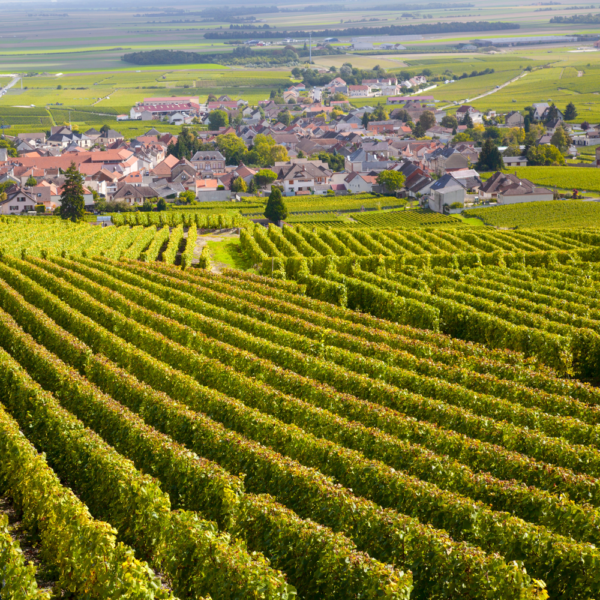 La Bourgogne