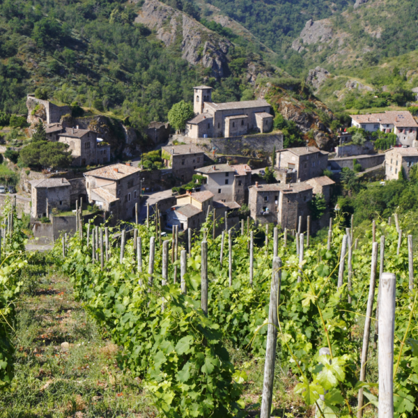 La Vallée du Rhône